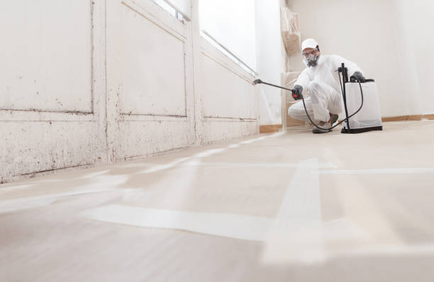 24/7 Emergency Mold Removal experts in Centreville, MI